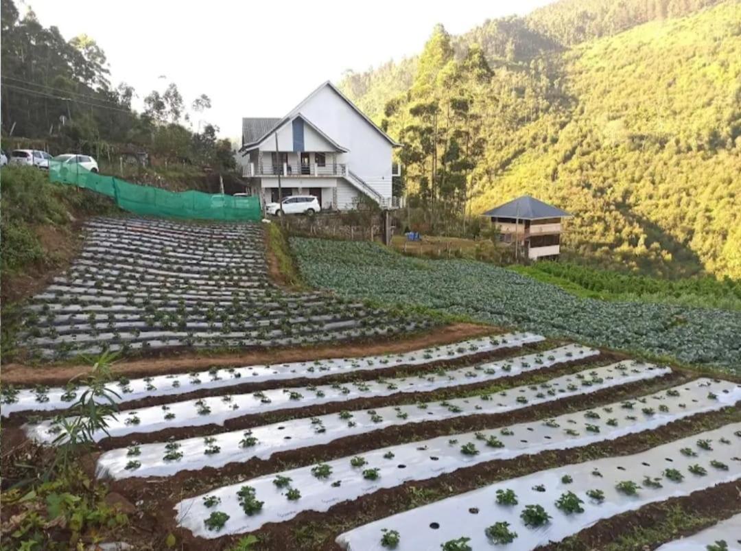 Vattavada Shola County B&B 외부 사진